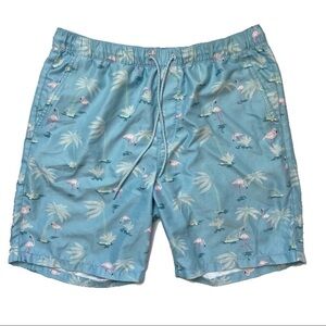 Empyre flamingo swim trunks aqua teal